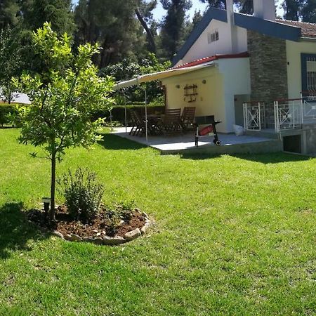 Nirvana House Sani  Exterior photo